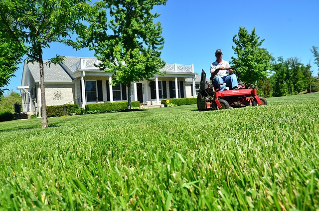 Landscape Maintenance